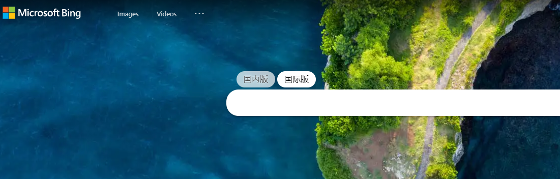 bing海外搜索引擎优化